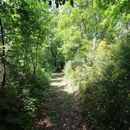 Σπίτι διακοπών Pet-friendly Retreat