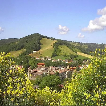 Pet-friendly Retreat *